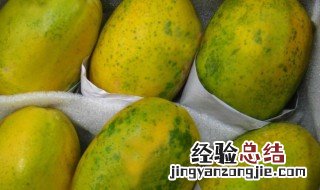 青木瓜可以吃吗 青木瓜生吃好吗