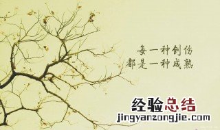 风雨而立什么意思 意思内容介绍