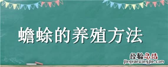 蟾蜍的养殖方法 蟾蜍的养殖方法视频