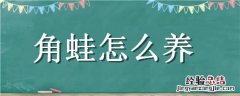 角蛙怎么养 南美角蛙怎么养