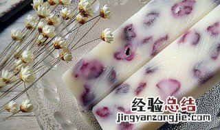 蔓越莓酸奶棒的做法窍门 蔓越莓酸奶棒的做法