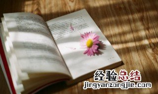 肀怎么读 毛政肀怎么读