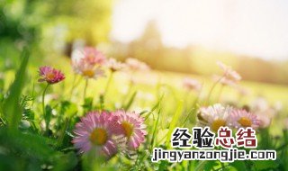 春天的语句简短 描写春天的优美短句简单