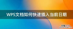 WPS文档如何快速插入当前日期 wps快速输入当前日期
