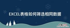 excel表格怎样筛选相同的数据 EXCEL表格如何筛选相同数据
