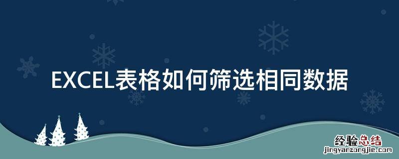 excel表格怎样筛选相同的数据 EXCEL表格如何筛选相同数据