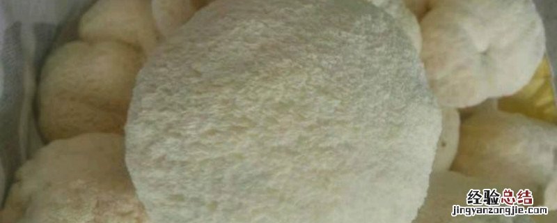 猴头菇家庭种植 猴头菇家庭养殖方法