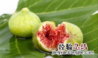 无花果为什么被叫做无花果 无花果为什么被叫做无花果蚂蚁庄园