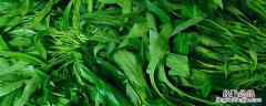 空心菜绿油油的是有问题吗 空心菜是油菜吗
