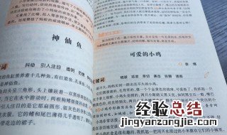 作文怎么写 几点简单的步骤教你深入了解