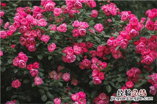农村投資項目什么好 新农村投资什么项目好?