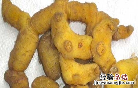 黄精的产地有哪些 哪个产地的黄精好