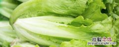 生菜生长期多少天可以收获 视频 生菜生长期多少天