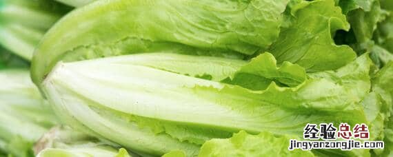 生菜生长期多少天可以收获 视频 生菜生长期多少天
