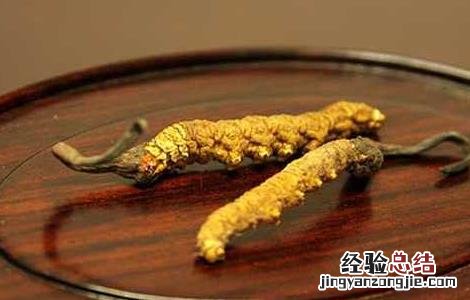 冬虫夏草分布地区 冬虫夏草种植的地方分布