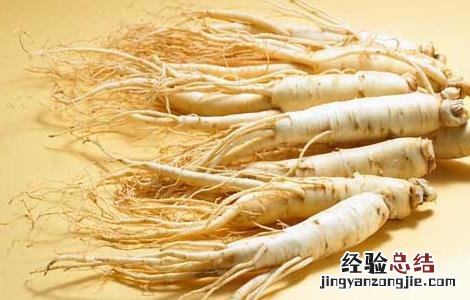 人参的雅称有哪些 人参的雅称有哪些
