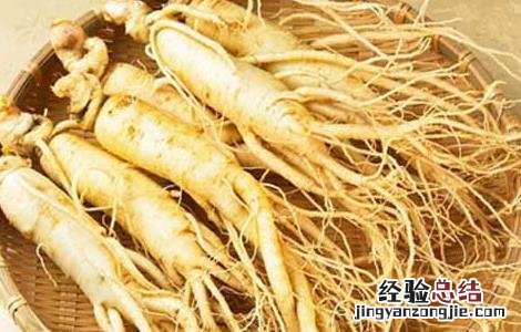 人参的雅称有哪些 人参的雅称有哪些