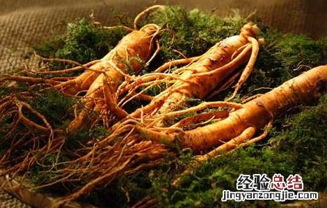 人参的雅称有哪些 人参的雅称有哪些
