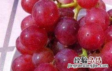 红提皮的功效与作用及禁忌 红提皮的功效与作用及禁忌症是什么