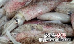 墨鱼怎么处理干净 墨鱼如何处理干净