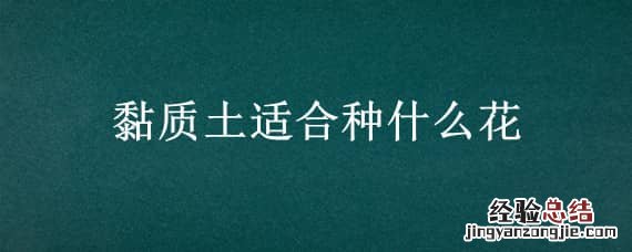 粘性大的土适合种花吗 黏质土适合种什么花