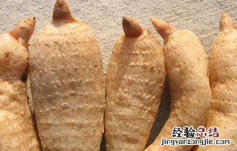 天麻的主要生产地 天麻产地分布情况