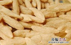 麦冬种植技术 麦冬种植技术及亩收益