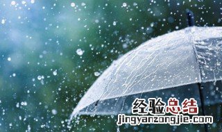 雨英语怎么读 雨英语是什么