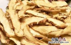 知母高产种植技术 知母种植技术及亩知母