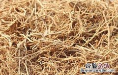 徐长卿栽培技术 徐长卿种植基地