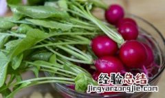 萝卜叶子怎么腌制咸菜视频 萝卜叶子怎么腌制