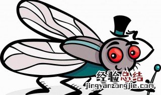 吃了苍蝇卵怎么办 如何解决吃了苍蝇卵