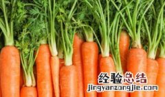 红萝卜红枣汤的做法 红萝卜红枣汤