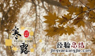 寒露养生怎么做 寒露如何养生