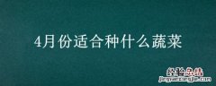 4月份适合种什么蔬菜 4月份适合种什么蔬菜合适呢
