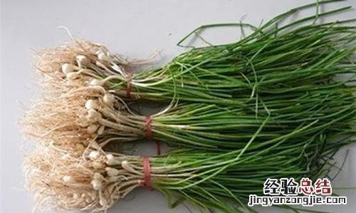 薤白的营养价值
