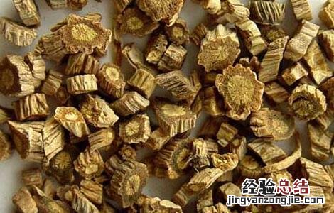 防风的栽培技术 防风的栽培技术还有药用功效