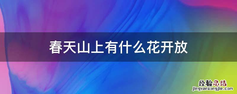 春天山上有什么花开放 春天山上开的野花
