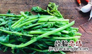 萝卜叶子怎么吃 洋花萝卜叶子怎么吃