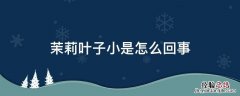 茉莉叶子小是怎么回事 茉莉叶子很小