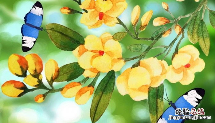 我还知道其他描写春天的诗句有哪些 描写春天的诗句有哪些