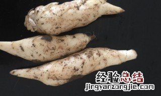鲜玉竹的家常食用方法 鲜玉竹的保存方法