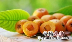 枇杷要放冰箱吗 枇杷需要放冰箱吗