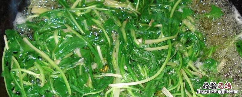 蒲公英婆婆丁怎么吃 婆婆丁怎么吃