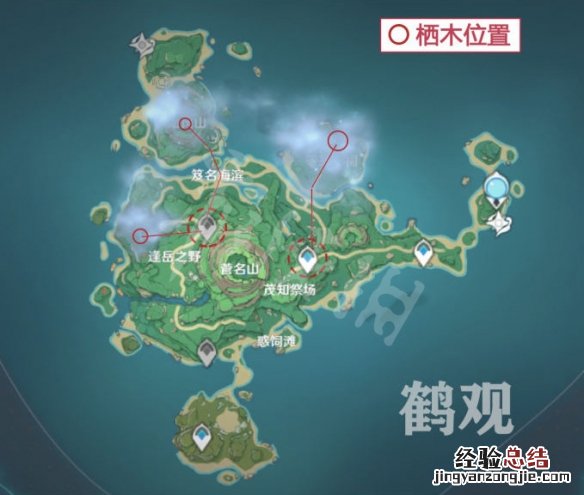 原神雾海与树之祭能量球怎么玩
