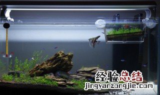 虾缸开缸教程 简易 虾缸开缸教程