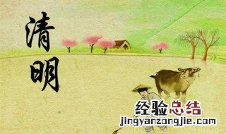 清明节的时候吃什么 清明节的时候吃什么东西