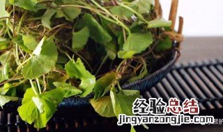 积雪草纯露的功效与作用 积雪草纯露的功效与作用怎么用