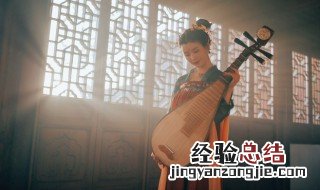 琵琶各指什么 琵琶共有几个调