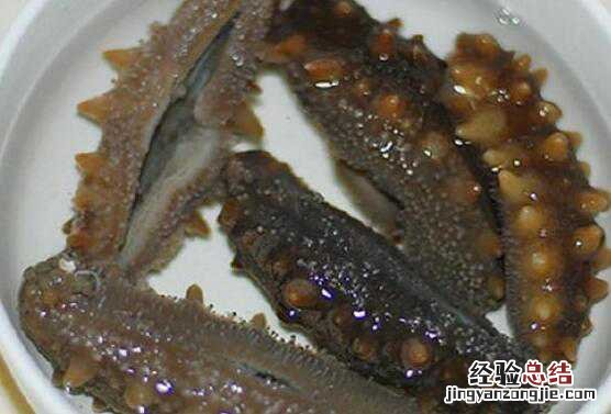 泡发海参的最佳方法,泡发海参的技巧教程
